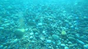 Crystal Prestige Elite 5* ex. Amara Prestige Elite 5* обзор пляжа отеля, Отдых в Турции 2022