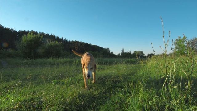 О Мордовии за одну минуту смотреть онлайн