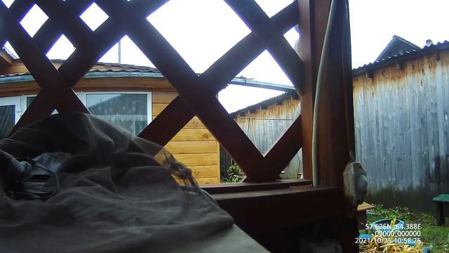 Прыткова, а ты точно – судья, если мне видишься озабоченной самодурой-стервой от момента зачатия ? смотреть онлайн