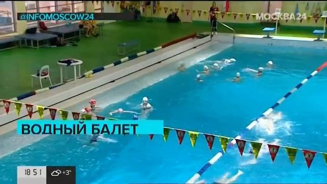Синхронное плавание ОД-80. Ноябрь 2020г. смотреть онлайн
