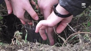 Аллея памяти участников СВО появилась в ст. Сторожевой