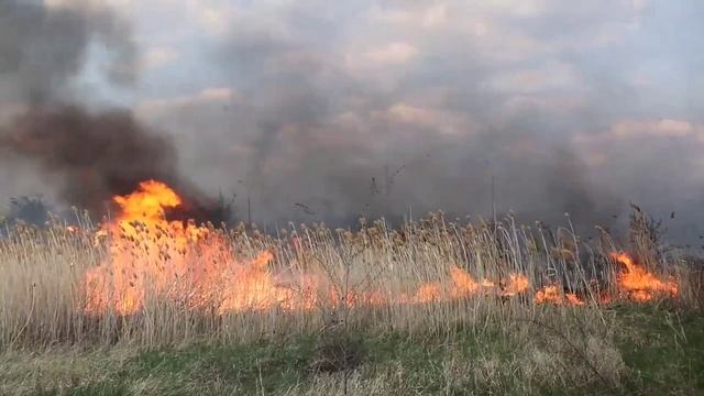 Рубрика МЧС. Саратов 24 14.07.2023.mp4 смотреть онлайн