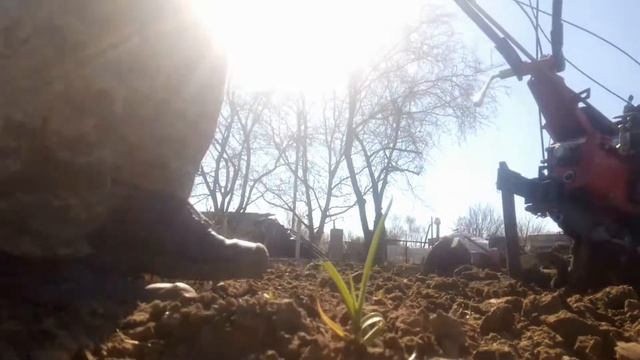 ФРЕЗЕРУВАННЯ землі мотоблоком КЕНТАВР 2070Д смотреть онлайн