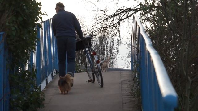 Walk along the Thames, Walton on Thames смотреть онлайн