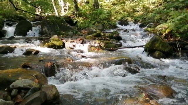 Горная речка смотреть онлайн