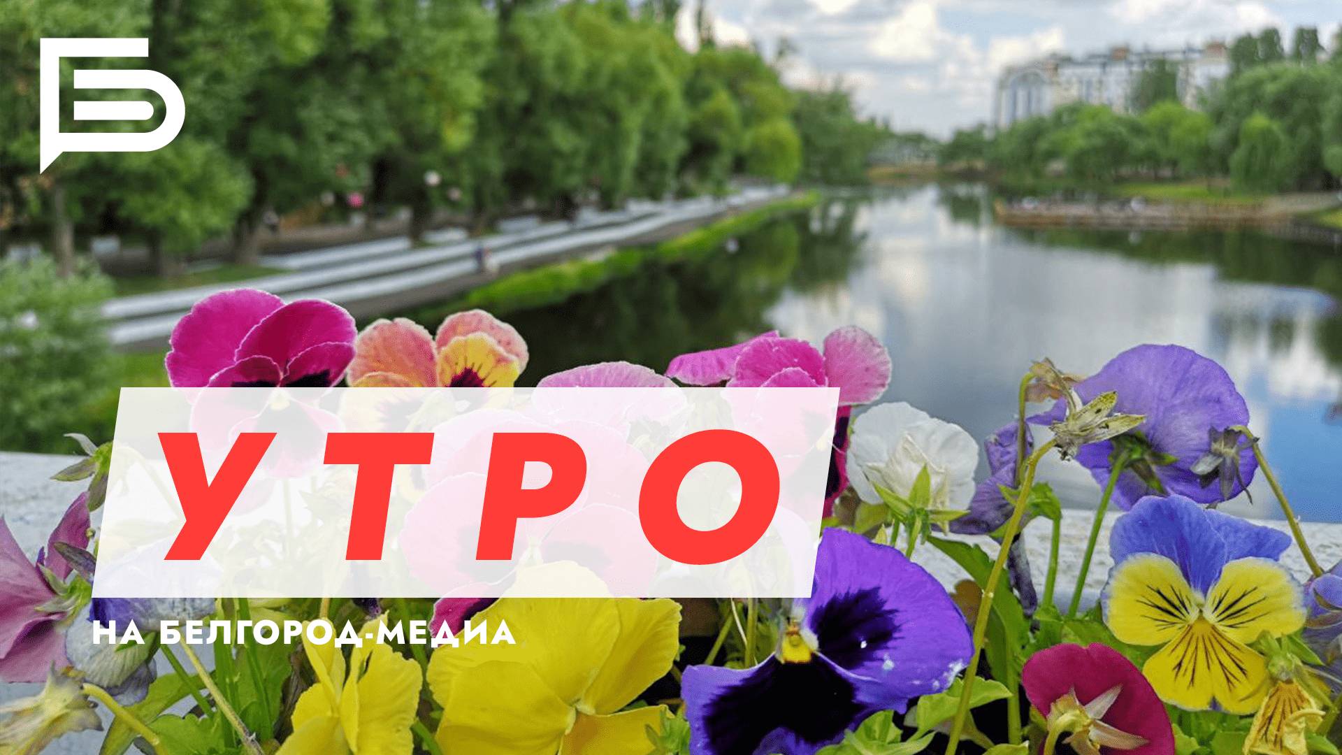 Утро Белгорода смотреть онлайн