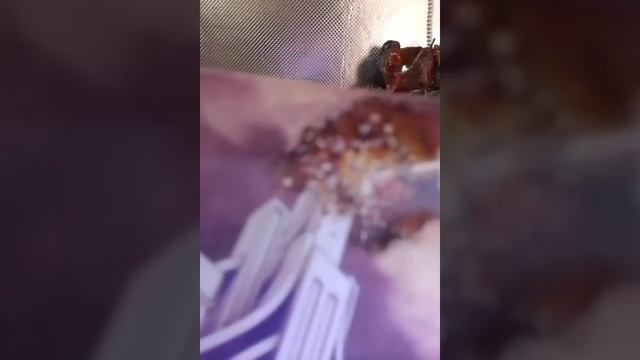 Башня - разрушил, встал и пошёл вперед к удачи. Описание старших Арканов в системе таро смотреть онлайн