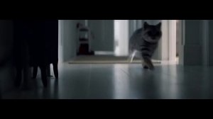 Милая реклама подушечек Duo Treats от Whiskas
