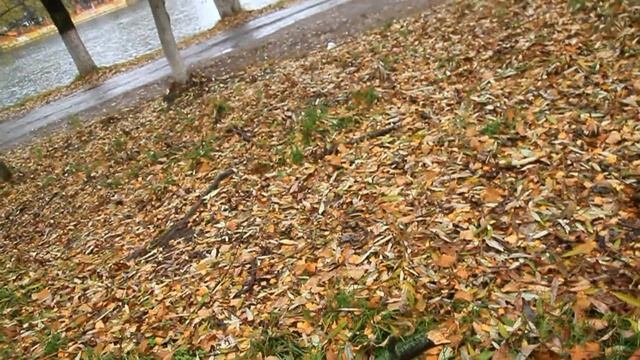 Тест Canon 60D 2.mp4 смотреть онлайн