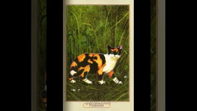 Мои картинки коты воители смотреть онлайн