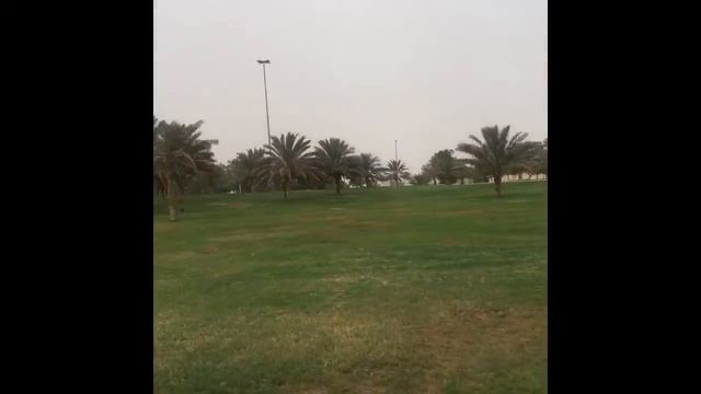 В Аль Айне выходные в ОАЭ Абу-Даби смотреть онлайн