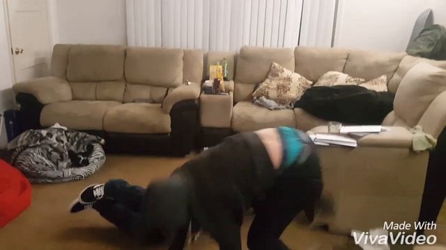 Karate Vs Capoeira/MuayThai (Classic Anime Hero Pose)