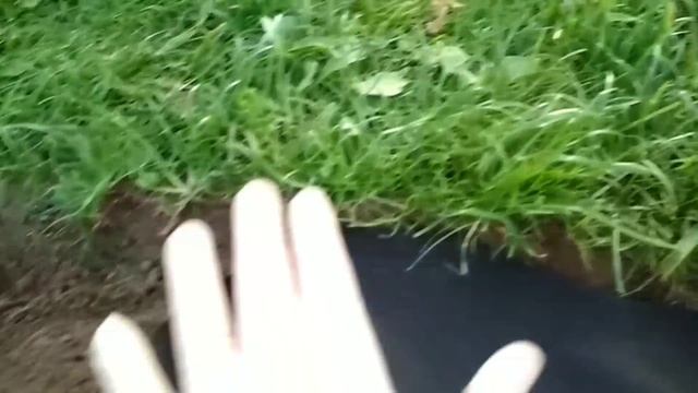 Хочу рокарий из хвойных растений! Продолжение. смотреть онлайн