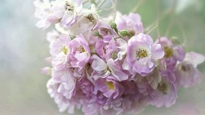 Пробуждение, работа с Божественной частью Существа. Энергетические, пробуждающие, вибрационные звуки