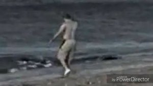 Касатка съела мужика на пляже. 16+