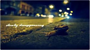 Бетховен – Мелодия слез.