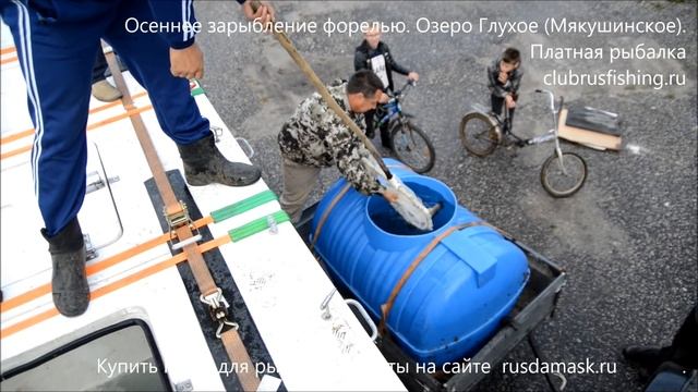 Осеннее зарыбление форелью. Озеро Глухое (Мякушинское). смотреть онлайн
