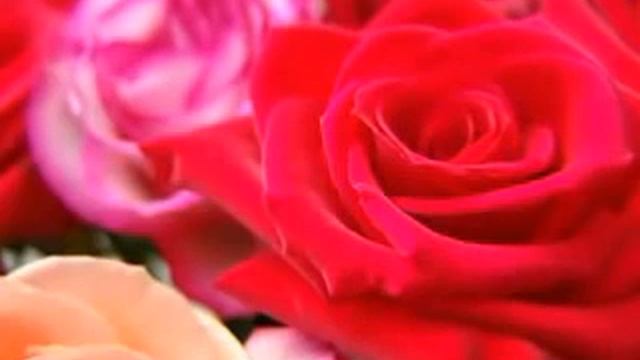 Маленький цветок смотреть онлайн