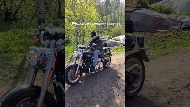 Когда друг приехал на Harley Davidson