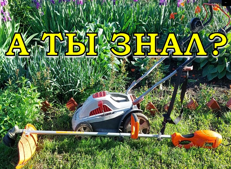 Как выбрать ТРИММЕР ДЛЯ ДАЧИ? ???