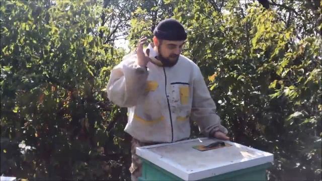 Осмотр "турецкой" семьи. Как прошла пересадка из турецкого улья в дадан? Появился ли расплод? Корма смотреть онлайн
