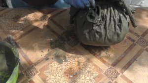 Делаем цветочный горшок (кашпо)  из цемента своими руками