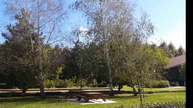 ECAF Santa Coloma de Farners смотреть онлайн