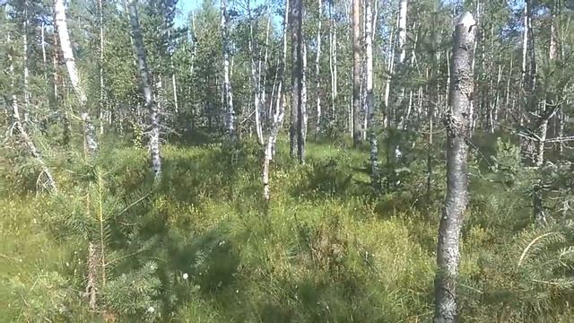 Исток Москва-реки - что находится за истоком Москва-реки - 6 ч из 6 смотреть онлайн