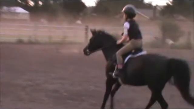 jumping is fun! смотреть онлайн