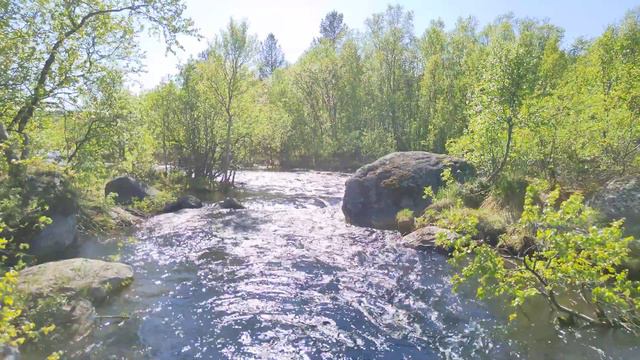 Северная река смотреть онлайн