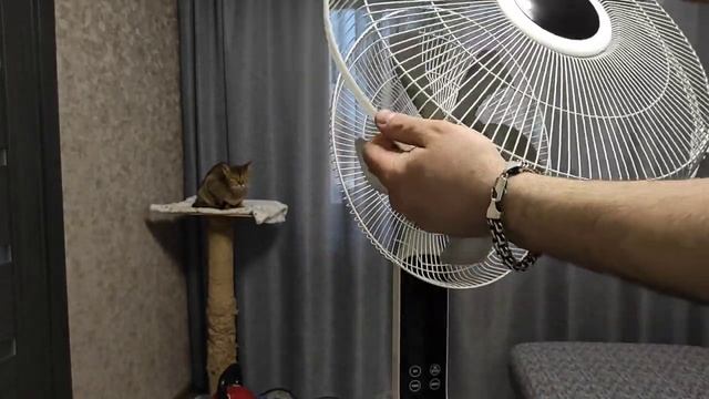 Вентилятор напольный Zanussi ZFF-901 смотреть онлайн