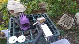 ЩАВЕЛЕВАЯ КИСЛОТА  Обработка пчёл сублиматором