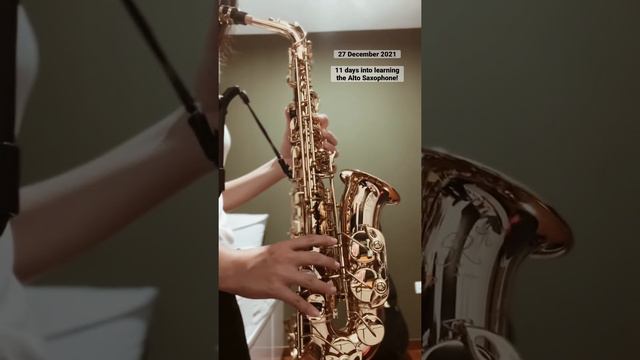 Day 12 | Learning the Alto Saxophone смотреть онлайн