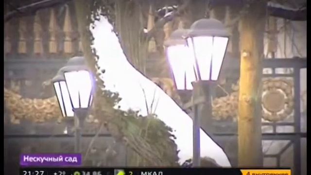 Вечер с Ксенией Соколянской Москва готовится ко Дню всех влюбленных смотреть онлайн