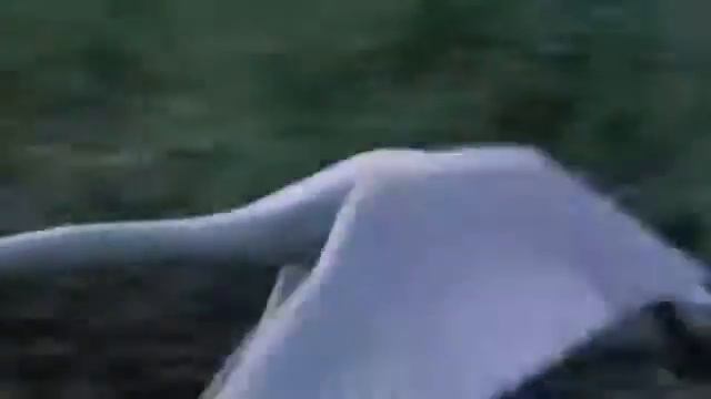 Unreal Дикие лебеди смотреть онлайн