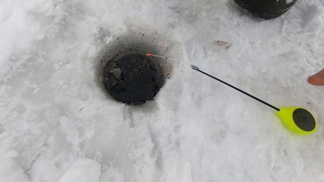 ОКУНЬ, елец и прочие на затоне Лампочка. Рыбалка на Иртыше. смотреть онлайн