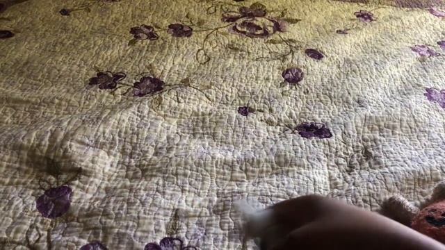 Let’s talk about Veiling! смотреть онлайн