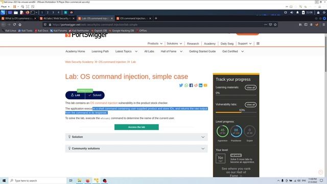 Lab: OS command injection, simple case смотреть онлайн