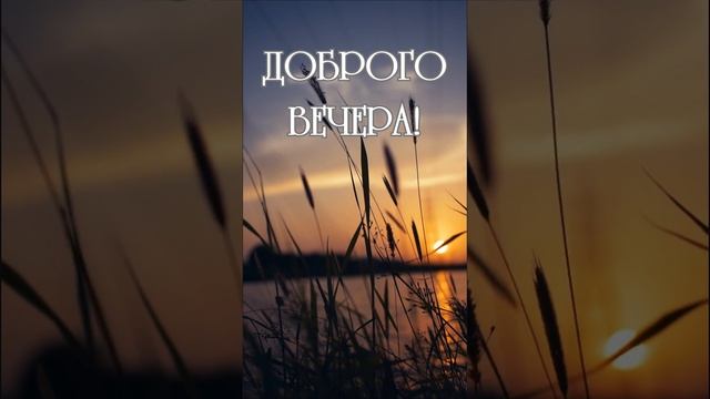 Видео на вечер | SunPikRu смотреть онлайн