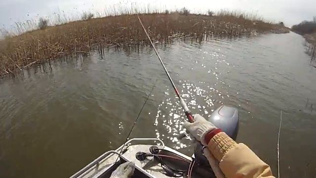 Весенняя рыбалка на воблу.Астраханская обл.с.Житное смотреть онлайн