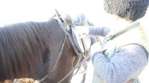 Казачий стиль верховой езды