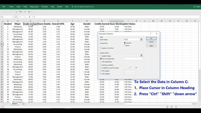 Descriptive Statistics in Excel Using the Data Analysis Tool смотреть онлайн