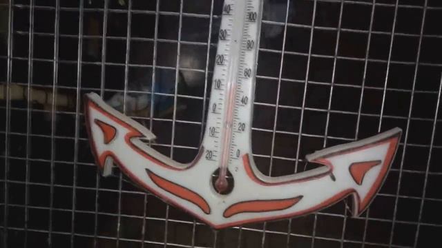 КАКАЯ ТЕМПЕРАТУРА ДОЛЖНА БЫТЬ У ПОПУГАЕВ ? какую температуру выдерживает волнистик ? смотреть онлайн