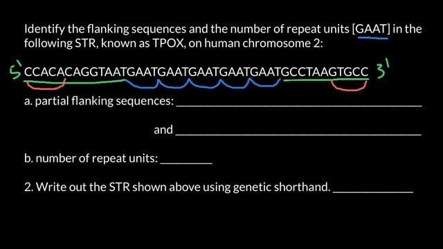 How STR genetic fingerprinting works? смотреть онлайн