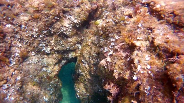 Канны и Антиб - Жемчужины лазурного берега смотреть онлайн