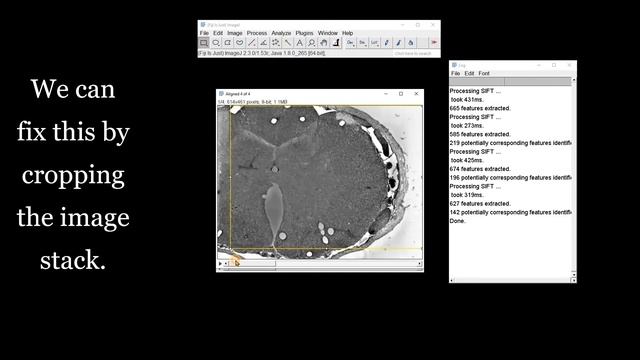 FIJI (ImageJ): Stack Alignment & Image Registration [SIFT] смотреть онлайн