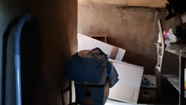 Планы на внутренний дворик. Идем за виноградом и персиками в наши джунгли