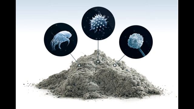 Что такое пыль?