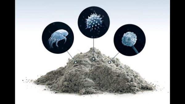 Что такое пыль?