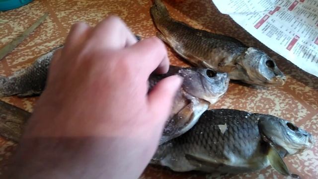 Как правильно вялить рыбу. смотреть онлайн